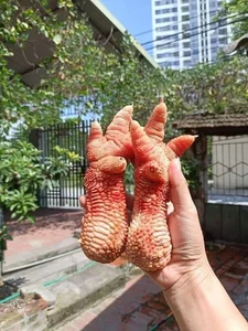 Why People Are Rushing to Buy Dong Tao Chicken Feet for Tet - image 7