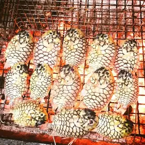 Mekong Delta's Humble Fish: Transformed into an Exquisite Grilled Delicacy for Food Lovers. - image 2