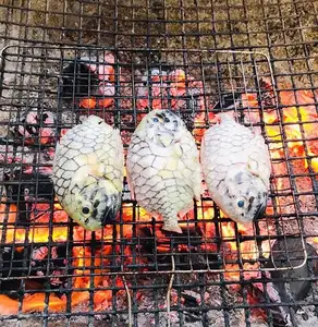 Mekong Delta's Humble Fish: Transformed into an Exquisite Grilled Delicacy for Food Lovers. - image 9