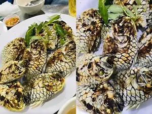 Mekong Delta's Humble Fish: Transformed into an Exquisite Grilled Delicacy for Food Lovers. - image 7
