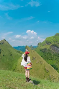 Discover the Scenic Beauty and Camping Magic of Vinh Quy Hill - image 1