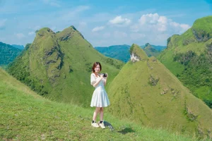 Discover the Scenic Beauty and Camping Magic of Vinh Quy Hill - image 8