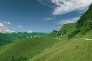 Discover the Scenic Beauty and Camping Magic of Vinh Quy Hill - image 4