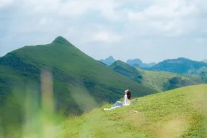Discover the Scenic Beauty and Camping Magic of Vinh Quy Hill - image 9