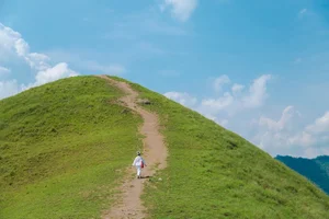 Discover the Scenic Beauty and Camping Magic of Vinh Quy Hill - image 7