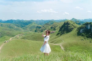 Discover the Scenic Beauty and Camping Magic of Vinh Quy Hill - image 5