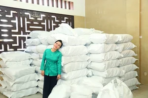 Viet Huong's Life and Career Three Years After Returning to Vietnam - image 0