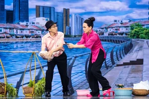 Viet Huong's Life and Career Three Years After Returning to Vietnam - image 2