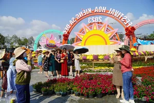 Thousands of Tourists Explore Dong Thap Flower and Mandarin Orange Gardens - image 6