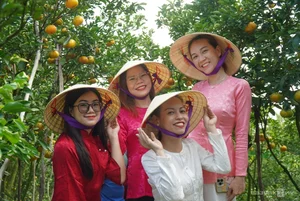 Thousands of Tourists Explore Dong Thap Flower and Mandarin Orange Gardens - image 7