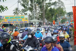 Thousands of Tourists Explore Dong Thap Flower and Mandarin Orange Gardens - image 5