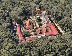 Exploring the 100-Year-Old Ancient Tree Forest City in the Mekong Delta - image 10
