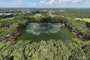 Exploring the 100-Year-Old Ancient Tree Forest City in the Mekong Delta - image 1