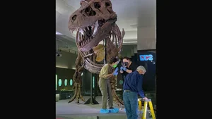 The $8 Million Secret: Uncovering the Story Behind the World’s Most Expensive T-Rex Fossil - image 4