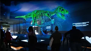 The $8 Million Secret: Uncovering the Story Behind the World’s Most Expensive T-Rex Fossil - image 6