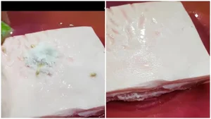 The Ultimate Secret to Making Perfectly Crispy Roasted Pork Belly - image 8