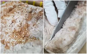 The Ultimate Secret to Making Perfectly Crispy Roasted Pork Belly - image 5
