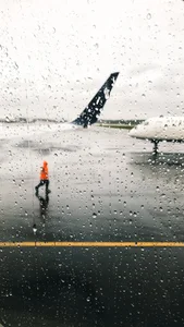 Capturing the Melancholic Beauty of Rain in Stunning Visual Art - image 29