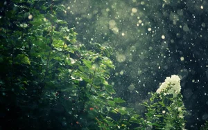 Capturing the Melancholic Beauty of Rain in Stunning Visual Art - image 32