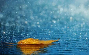 Capturing the Melancholic Beauty of Rain in Stunning Visual Art - image 49