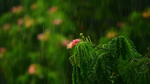 Capturing the Melancholic Beauty of Rain in Stunning Visual Art - image 33