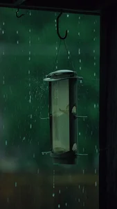 Capturing the Melancholic Beauty of Rain in Stunning Visual Art - image 48