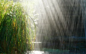 Capturing the Melancholic Beauty of Rain in Stunning Visual Art - image 30