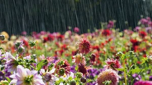 Capturing the Melancholic Beauty of Rain in Stunning Visual Art - image 26