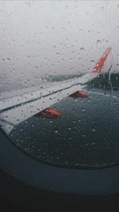 Capturing the Melancholic Beauty of Rain in Stunning Visual Art - image 34