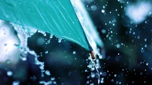 Capturing the Melancholic Beauty of Rain in Stunning Visual Art - image 22