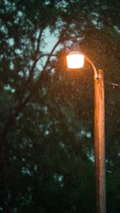 Capturing the Melancholic Beauty of Rain in Stunning Visual Art - image 14