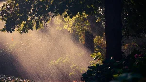 Capturing the Melancholic Beauty of Rain in Stunning Visual Art - image 12