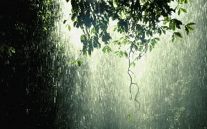 Capturing the Melancholic Beauty of Rain in Stunning Visual Art - image 39