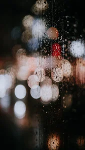 Capturing the Melancholic Beauty of Rain in Stunning Visual Art - image 3