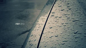Capturing the Melancholic Beauty of Rain in Stunning Visual Art - image 21