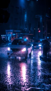 Capturing the Melancholic Beauty of Rain in Stunning Visual Art - image 15