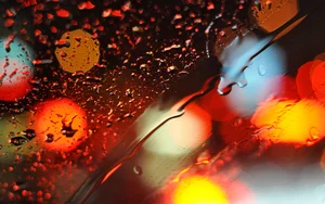 Capturing the Melancholic Beauty of Rain in Stunning Visual Art - image 27