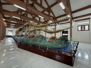 Discover the Two Record-Breaking Whale Skeletons of Vietnam - image 0