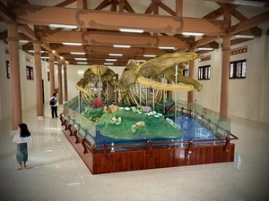 Discover the Two Record-Breaking Whale Skeletons of Vietnam - image 5