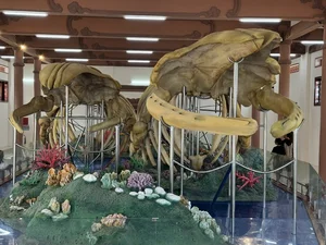 Discover the Two Record-Breaking Whale Skeletons of Vietnam - image 6