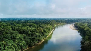 Archaeologists Uncover Lost Mayan 'White Jaguar' City in Deep Jungle - image 9