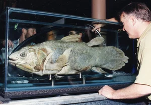 Top 8 Ancient Living Fossils: Vietnam's Most Common Prehistoric Beast - image 7
