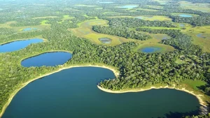 Inside the World's Most Terrifying Wetlands and Their Giant Predators - image 0