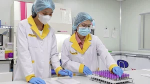 Vietnam Martyrs DNA Bank: Honoring Heroes Through Science - image 0
