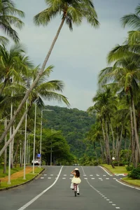 Phu Quoc Island Enters Peak Tourism Season: Why Now is the Best Time to Visit - image 12