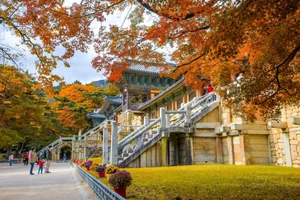 South Korea Considers 10-Year Multi-Entry Visas for Vietnamese Travelers - image 0