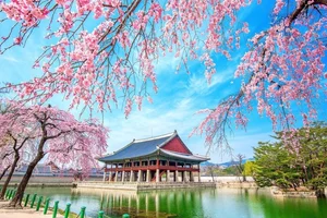South Korea Considers 10-Year Multi-Entry Visas for Vietnamese Travelers - image 8