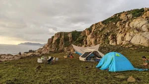 The Majestic Beauty of Da Vach Vĩnh Hy Coastal Cliffs - image 6