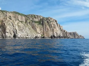The Majestic Beauty of Da Vach Vĩnh Hy Coastal Cliffs - image 4