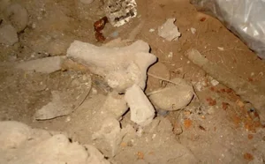 Unlocking the Mysteries of Ancient Caves with Prehistoric Human Traces - image 6